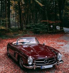 an old mercedes sits parked in the middle of leaves on the ground and trees behind it