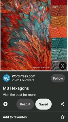 an iphone screen with the text wordpress com 2 9m followers and two different images