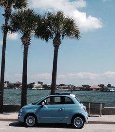 a small blue car parked next to palm trees