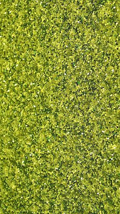 an overhead view of green plants with lots of leaves