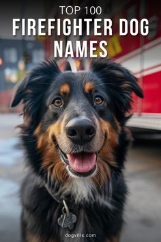 a black and brown dog with the words top 100 firefighter dog names on it