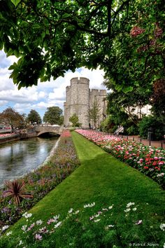 flowers are growing along the side of a river in front of a castle with a bridge