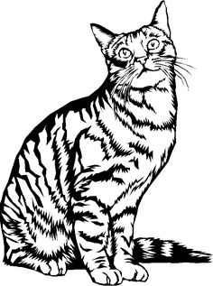 a black and white drawing of a cat sitting on top of a floor with its eyes open