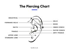 an ear diagram with the parts labeled in each section and text describing what they are