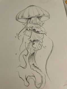 a pencil drawing of a jellyfish