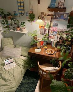 a bed room with a neatly made bed and lots of plants