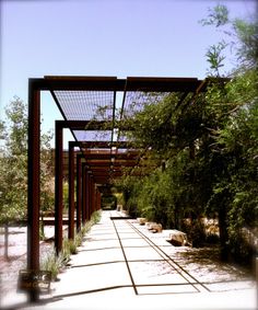 a walkway lined with trees and benches under a pergolated roof in the desert