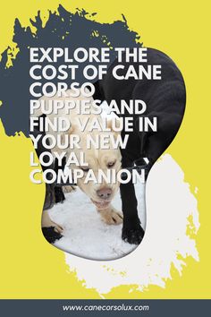 two dogs laying on top of each other with the words explore the cost of cane cops and find value in your new local companion