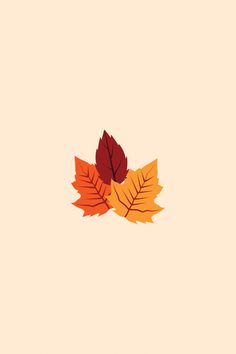 an orange and red leaf on a beige background