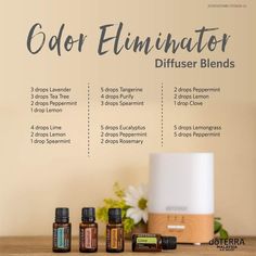 Essential Oils For Cleaning, Oils For Diffuser, Doterra Diffuser Blends, Essential Oil Combinations, Doterra Essential Oils Recipes, Young Living Essential Oils Recipes, Essential Oils Guide