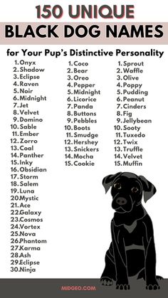 a black dog sitting on top of a table next to the words,'150 unique black dog names for your pup's distinctive personality