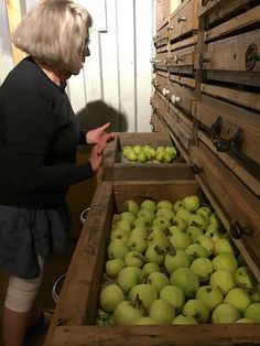 a woman standing in front of wooden crates filled with green apples