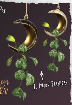 the moon planter is hanging from a branch with green leaves on it and has an arrow