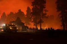 The Fourmile Canyon Fire, sparked by a backyard burn west of Boulder, Colorado, in 2010, caused $220 million in damage and destroyed 168 homes. It also scorched nearly a quarter of a watershed that… Boulder Colorado, National Geographic Photos, Best Photography, Bouldering, National Geographic, Amazing Photography, New Mexico, To Tell, Colorado