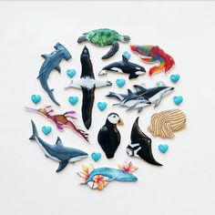 several different types of sea animals in a circle with hearts on the bottom and below