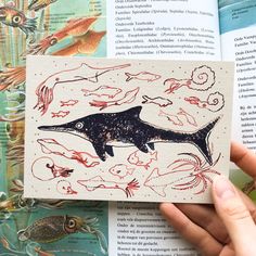 a hand holding an open book with drawings on it