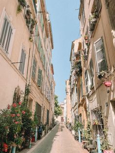 an empty street with lots of potted plants on the side and windows above it