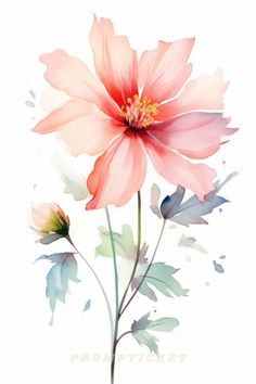 a pink flower with green leaves and watercolor splashes on the petals, in front of a white background