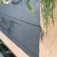 some green plants are growing on the side of a wooden structure that is being built