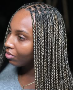 Noteless Hair Braids, Blonde Highlight Knotless Braids, Small Individual Braids For Black Women, Knotless Box Braids Small Medium, Two Color Knotless Braids, Knotless Box Braids Medium Color, Blonde Box Braids Hairstyles