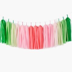 tissue paper tassels hanging on clothes line with green, pink and white streamers