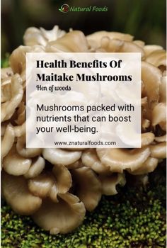 mushrooms with the words health benefits of mathake mushrooms on it and an image of mushroom