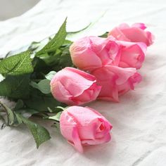 three pink roses laying on top of a white sheet