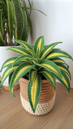 a potted plant sitting on top of a wooden table