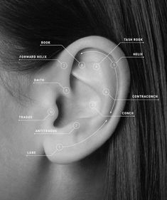 a woman's ear is shown with all the parts labeled