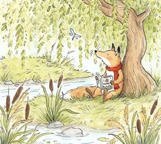 a drawing of a fox sitting under a tree next to a river reading a book