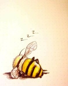 a drawing of a bee laying on the ground