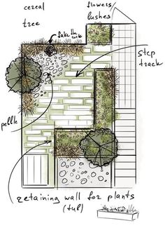 a drawing of a garden with plants and trees