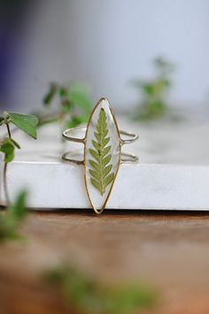 Real Fern Silver Ring, Dried Fern Ring, Double Band Ring, Statement Jewelry ✿made to order - .925 sterling silver band, brass - non-toxic+uv-resistant, BPA free resin. Safe for everyday wear - due to natural limitations, the ferns may vary from the ferns in the photo. this ring can take UP TO two weeks to create & ship. If you need expedited shipping please contact me before purchasing More Rings Here: https://www.etsy.com/shop/MENTALGARDENS?ref=simple-shop-header-name&listing_id=7914578 Nature-inspired Pressed Flower Ring Jewelry, Nature-inspired Rings With Natural Inclusions For Promise, Nature-inspired Ring With Natural Inclusions, Nature-inspired Promise Rings With Natural Inclusions, Fern Ring, Dried Fern, Ring Double Band, Fairytale Ring, Pomegranate Art