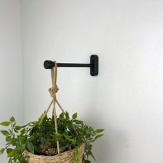 a potted plant hanging from a hook on a white wall with green plants in it