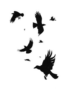 several birds flying in the air with their wings spread