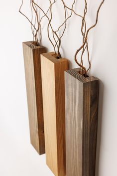 three wooden vases with branches in them hanging on the wall, one is made out of wood