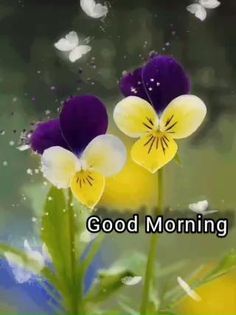 two purple and yellow flowers with the words good morning