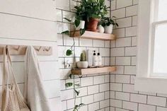 a white tiled bathroom with shelves and plants on the wall