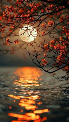 the full moon is shining brightly in the sky over water with red flowers on it