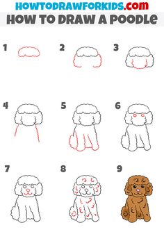 how to draw a poodle step by step instructions for kids and beginners with pictures