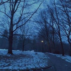 the street is covered in snow and there are no cars on it