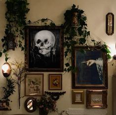 there are many framed pictures on the wall with plants growing up to it's sides