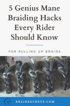 five braiding hacks with the text 5 genius mane braiding hacks every rider should