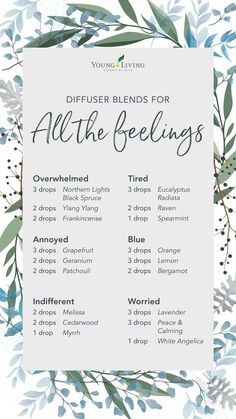 Northern Lights Black Spruce, Young Living Essential Oil Diffuser, Young Living Oils Recipes, Young Living Recipes, White Angelica, Eucalyptus Radiata