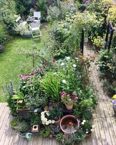 a garden filled with lots of different types of flowers and plants on top of a wooden deck