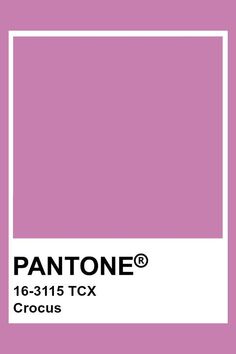 pantone's color is shown in this image, it has a square shape with the