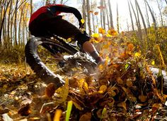 a man riding a bike through a forest filled with leaves