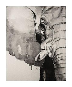 an elephant's face is shown in this black and white photo with watercolor