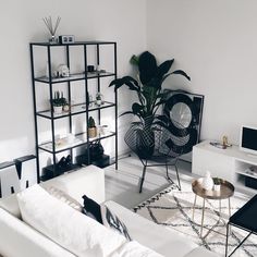 a living room filled with furniture and a large plant in the corner on top of a white couch