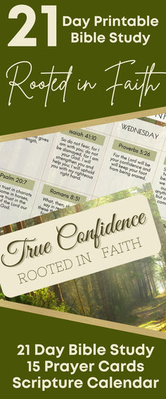 a poster with the words, 21 day bible study and calendars for each participant